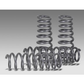 Eibach Pro-Lift 30mm Ford Ranger Raptor 2023- (TUV)