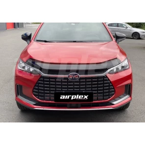 Panserbeskytter BYD TANG '21- sotet